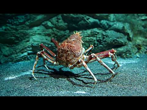 Materials and Nanotechnology | School of Chemical and Biomolecular Engineering