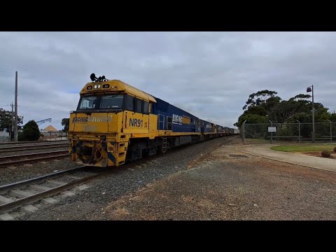 NR91, NR43, NR72, NR67 4PM4 Steel At North Shore