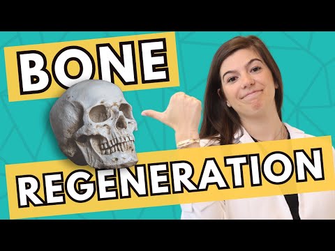 Overcoming Bone Loss | Can I Get Dental Implants With Bone Loss?