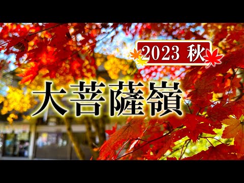 Grande Montanha Bodhisattva em folhas de outono