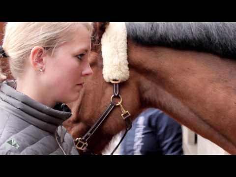 This is how you find the right saddle for your horse.