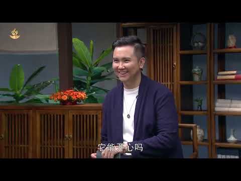 龍王寶瓶禁忌