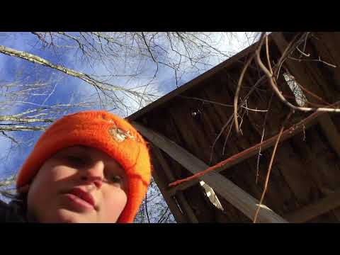 Exploring old abandoned tree house