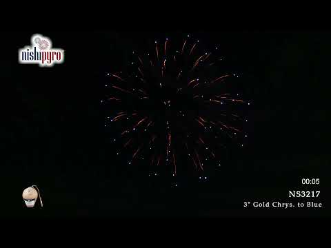 NS3217 - Gold Chrys. to Blue