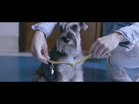 Tickless® – Könnyű használni, könnyű megszeretni
