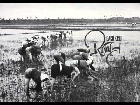 Baco Krisi / Risaie / Bonobo - Ten tigers / Inedito 2014