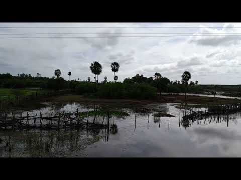 Rio Burriti Coqueiro município de São Bernardo-MA 