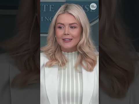 Reported parts of 15-point plan to end Iran war 'not entirely factual,' says White House