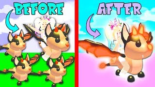 neon pets adopt me dragon - Thủ thuật máy tính - Chia sẽ kinh nghiệm sử