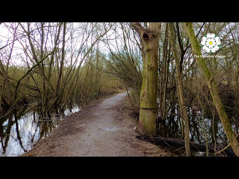 Stanley Marsh Walk | Wakefield, West Yorkshire | 4K Ultra HD (Vlog #64)