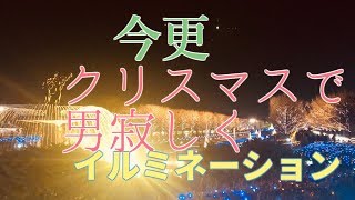 【超いまさら】クリスマスに男二人寂しくイルミネーションを見る。