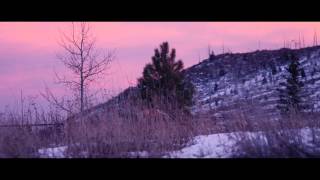 Steady Hands - Skin And Bones (Official Video)