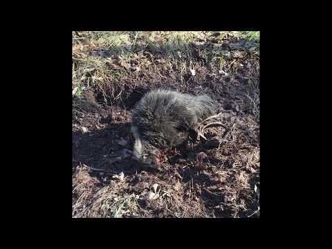 PA Trapping Chronicles 2016-2017 EP 9 End of the line