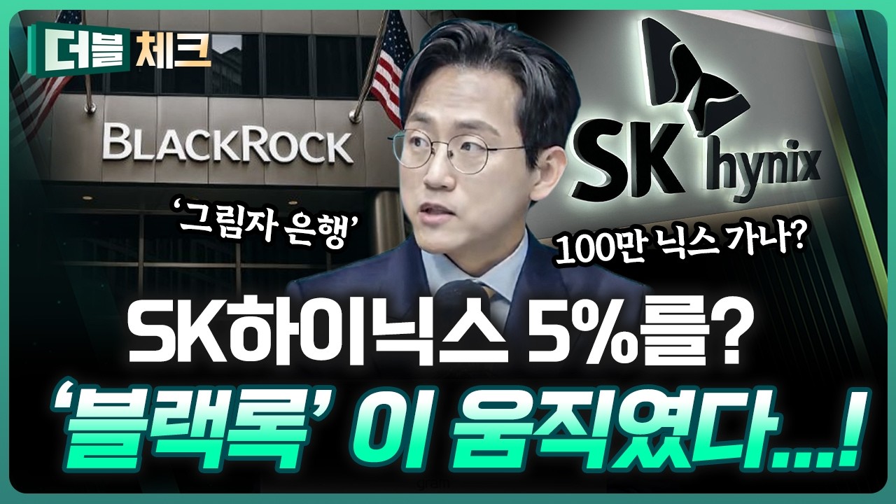 진짜가 나타났다…! 선택 받은 SK하이닉스? | 장우진 작가 [더블 체크]