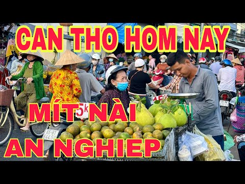 CẦN THƠ CHỢ MÍT NÀI ( An  Nghiệp) TP CAN THO  🌺ngày 14/12/2025🌺cần thơ ký sự