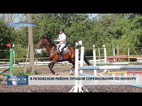 12.08.2019 / Свыше сорока наездников вышли на старт областного первенства по конкуру