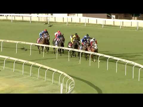 Got the Greenlight - 4RACING PREMIER'S CHAMPIONS CHALLENGE (Grade 1)