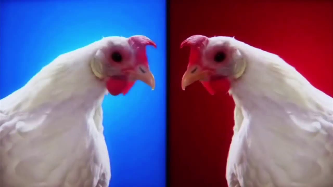 Techno Chicken Song   Geco Remix 1 Hour