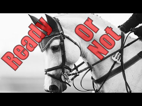 Ready Or Not || Show Jumping Music Video ||