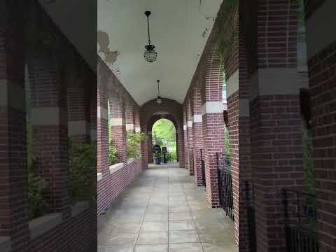 Victoria Pool Saratoga Springs