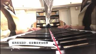【經典琴款🌟🌟🌟KAWAI NS-10】
