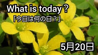 【What is today?】今日は何の日?(0520)|YouTube掲示板《ヒントストック》