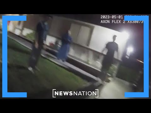 Family reports giant non-humans in backyard after crash | Banfield