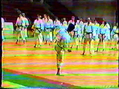 Kagawa sensei super high kicks