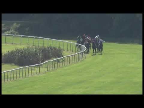 KV, 22. 9. 2019, 4. dostih - 38. Cena ZIMNÍ KRÁLOVNY DS PEGAS