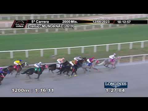 230812 c05 DOÑA CURIOSITA