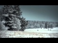 The Doors Wintertime Love 