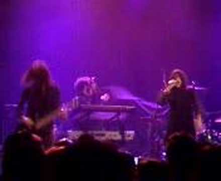 io echo LIVE: im on fire