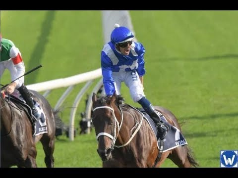 2019 ATC Queen Elizabeth Stakes