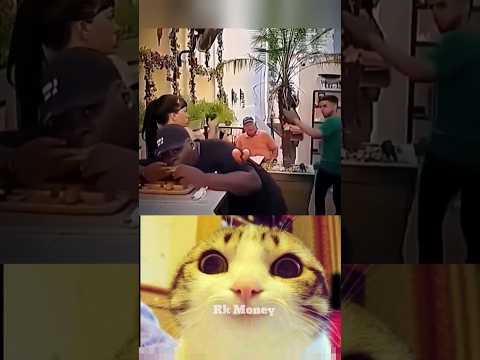 #cat #meme #dance #shorts #youtubeshorts