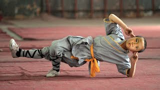100 ko Akela Sambhal lega Ye Kung Fu Master  Film/