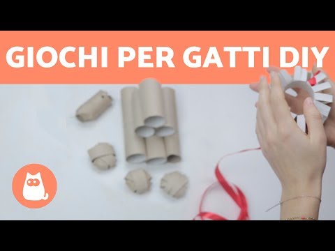 Parassita allinterno di unghie Tiberat allatto di trattamento di lyambliya
