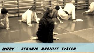 MOBY dynamic mobility system