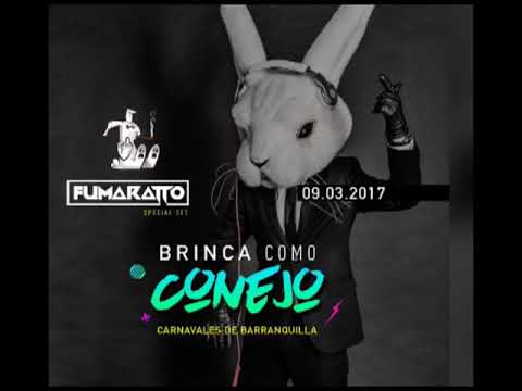 Fumaratto - Brinca Como Conejo (Carnavales de Barranquilla)