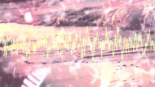 &quot;Sin Palabras&quot; - Lyric Video