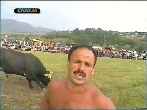 - ZMAJ OD ŠIPOVA KAD JE BIO MLAD JAŠE BIZONA ŠIPOVO 2003 /Dragon and Bison/