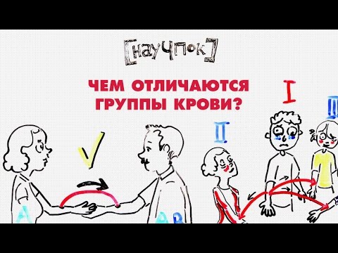 Чем отличаются группы крови? — Научпок