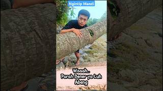 Download lagu LUCU NGAKAK.. Ngintip Cewek Mandi Di Sumur Sungai, Parah Loe ya Beng.. mp3