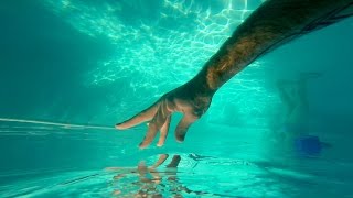 GoPro Awards: 3 Years in 3 Minutes (Music Video) - People the Kangaroo