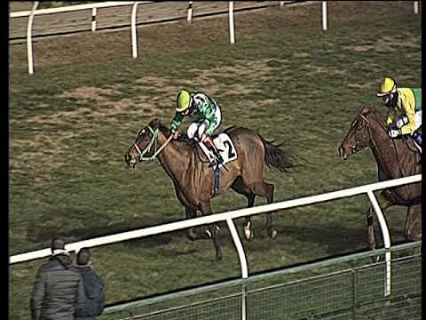 Galoppo 05/01/2019 - 6ª corsa