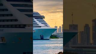 MSC Seaside 🛳️ #travel #like #subscribe #comment #cruise #vacation #shortvideo #shortsvideo #shorts