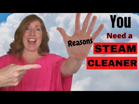 5 Reasons You Absolutely Need a Steam Cleaner | Watch it clean REAL MESSES