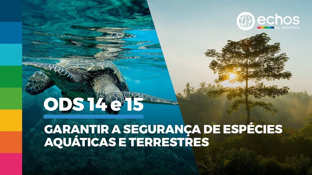 Echos da Amazônia - Ep 09: ODS 14 e 15