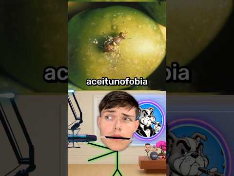 The Weirdest Phobias in the World 😱