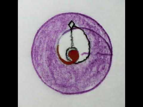 ICEKIID x Lamin Type Beat - "Double Up" | 00's Type Beat 2024