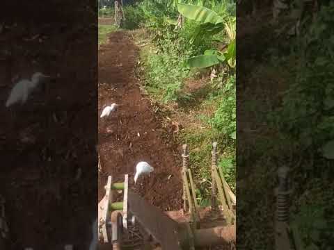 Multi speed rotavator, 30 hp